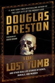 Tapa de Lost Tomb