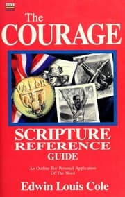 Tapa de The courage