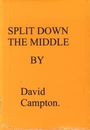 Tapa de Split Down the Middle