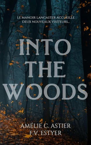 Tapa de Into the Woods
