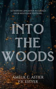 Tapa de Into the Woods