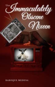 Tapa de The Immaculately Obscene Nixeen