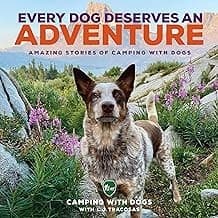 Tapa de Every Dog Deserves an Adventure
