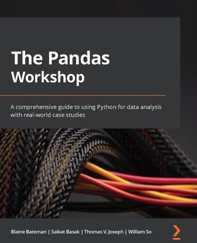 Tapa de The Pandas Workshop