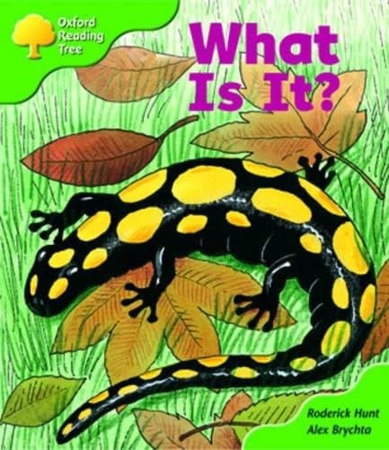 Tapa de What is it?