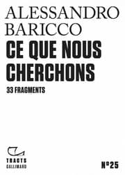 Tapa de Ce que nous cherchons. 33 fragments