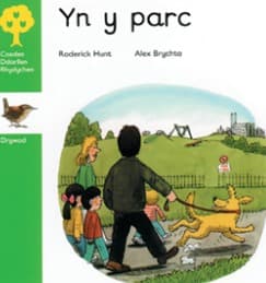 Tapa de Yn y parc