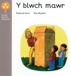 Tapa de Y blwch mawr