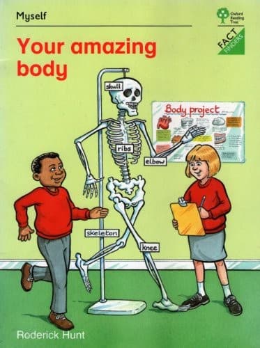 Tapa de Your amazing body