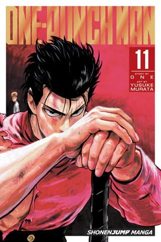Tapa de One-Punch Man 11