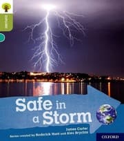 Tapa de Safe in a Storm