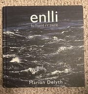 Tapa de Enlli - Tu Hwnt I'r Swnt
