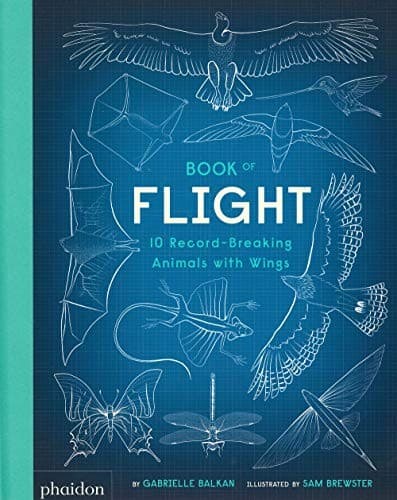 Tapa de Book of Flight