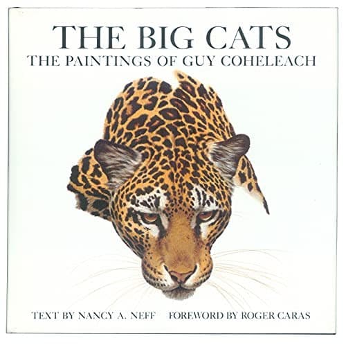 Tapa de The big cats
