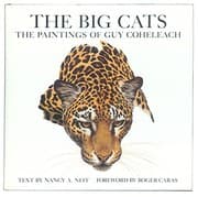 Tapa de The big cats