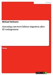 Tapa de Assessing East-West Labour Migration after Eu-Enlargement