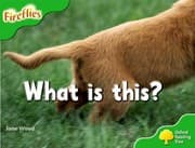 Tapa de What Is This?
