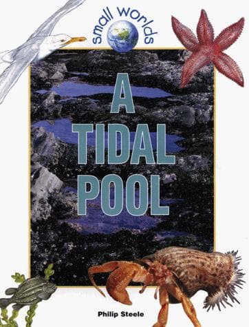 Tapa de A tidal pool