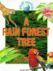 Tapa de A rain forest tree