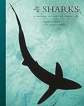 Tapa de Lives of Sharks