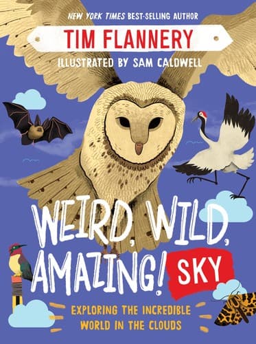 Tapa de Weird, Wild, Amazing! Sky