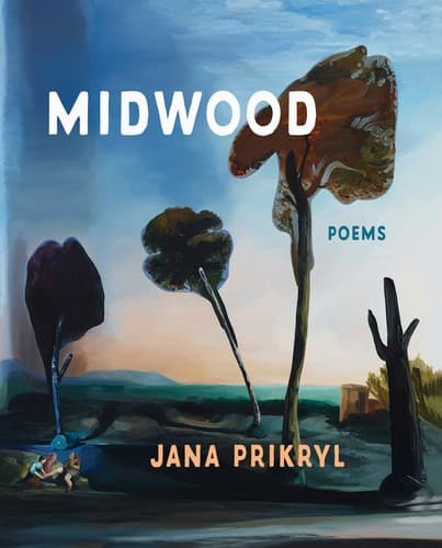 Tapa de Midwood