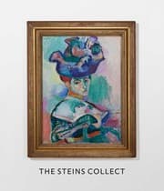 Tapa de The Steins collect