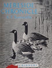 Tapa de Mereside chronicle