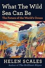 Tapa de What the Wild Sea Can Be