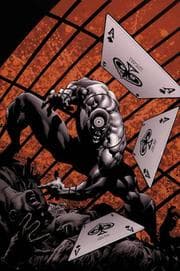Tapa de Bullseye