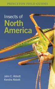 Tapa de Insects of North America