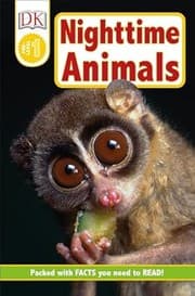Tapa de Nighttime Animals