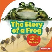 Tapa de Story of a Frog