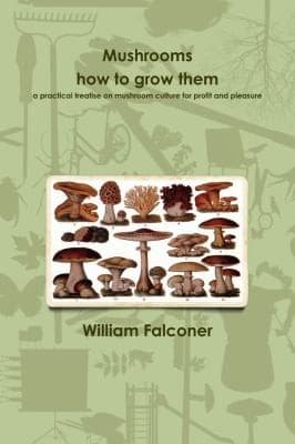Tapa de Mushrooms