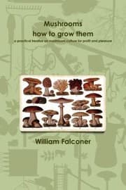 Tapa de Mushrooms