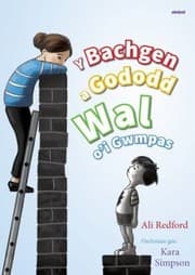 Tapa de Boy Who Built a Wall Around Himself, the (Teitl Cymraeg I'w Gadarn