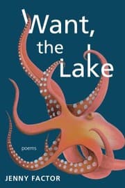 Tapa de Want, the Lake