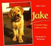 Tapa de Jake