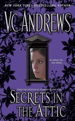 Tapa de Secrets in the Attic