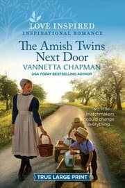 Tapa de Amish Twins Next Door