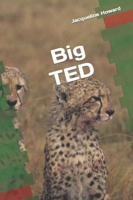Tapa de Big Ted
