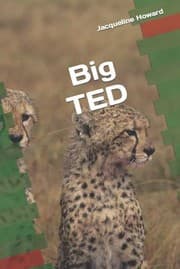 Tapa de Big Ted