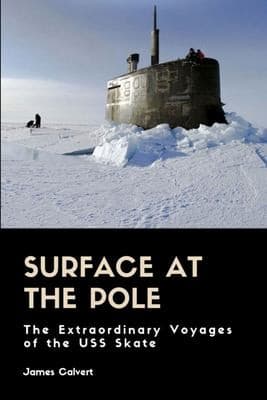 Tapa de Surface at the Pole