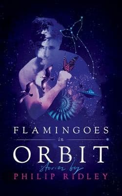 Tapa de Flamingoes in Orbit