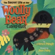 Tapa de Secret Life of the Woolly Bear Caterpillar