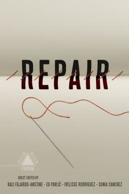 Tapa de Repair