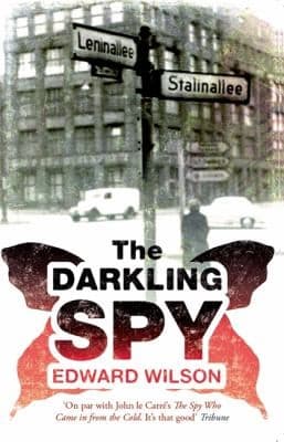 Tapa de The darkling spy