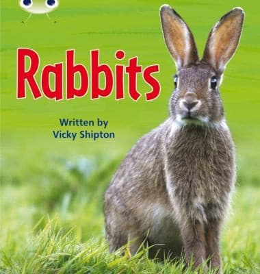 Tapa de Rabbits