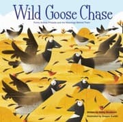 Tapa de Wild Goose Chase