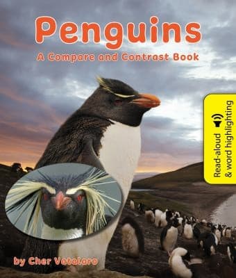 Tapa de Penguins